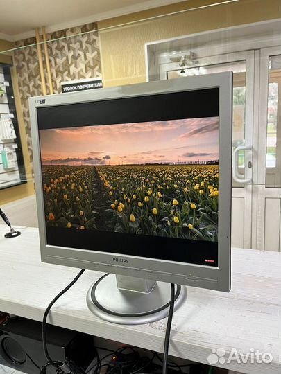 Монитор Philips 170S6 17