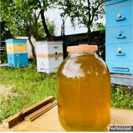 Мед Натуральный разнотравие