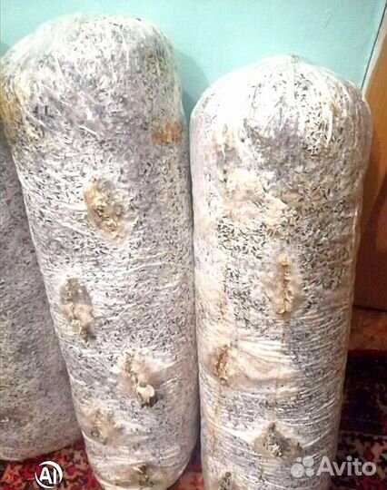 Лузга подсолнечника