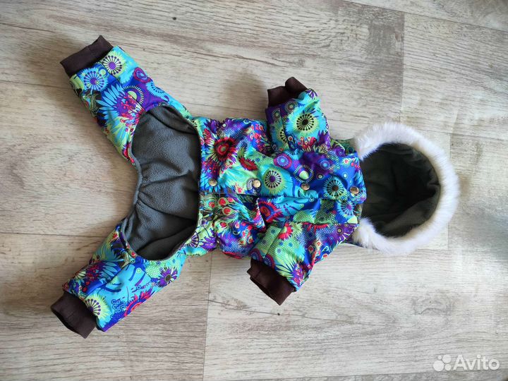 Одежда для собак