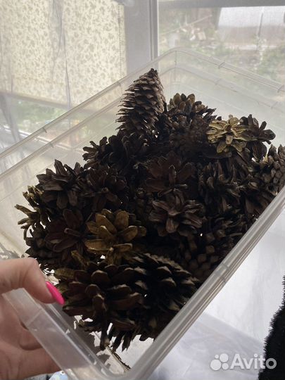 Шишки для поделок