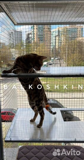 Балкон для кота, балкончик для кота, антикошка