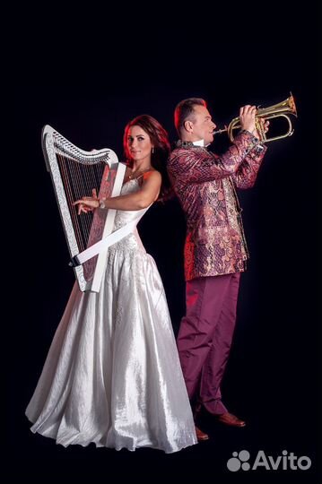 Музыканты на мероприятие