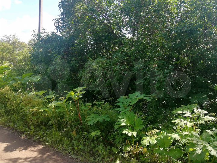 Участок 40 сот. (ИЖС)