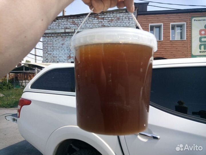 Продам мёд дягеля