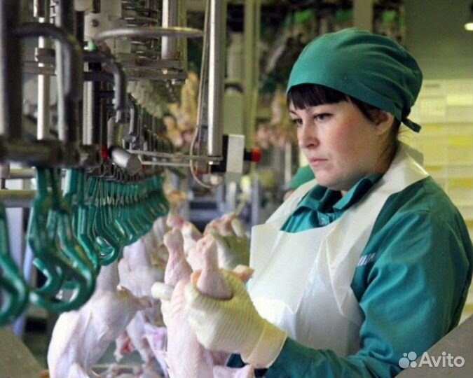 Вакансия для вахтовиков на птицефабрике Пермь