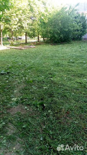 Обработка вашего сада от клеща,комаров,мух,тли