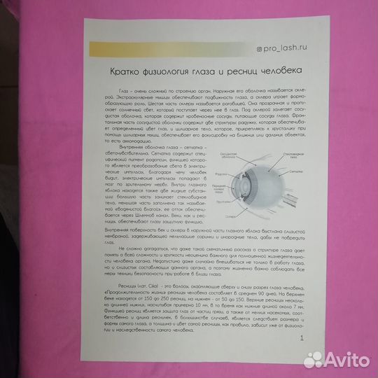 Rm1-3146 Печь в сборе