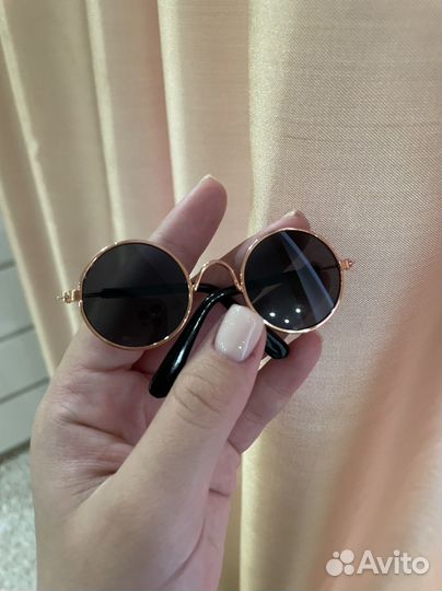 Очки для кота