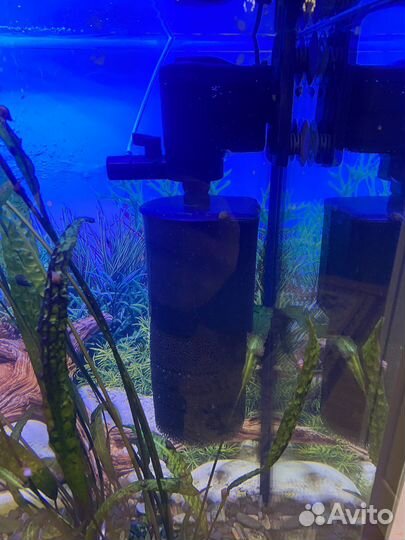 Аквариум с тумбой 300 литров