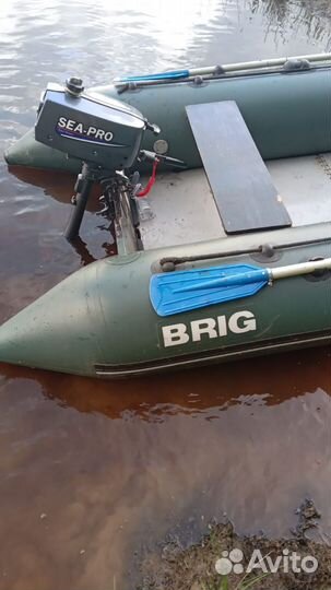 Brig D300 + Sea-Pro