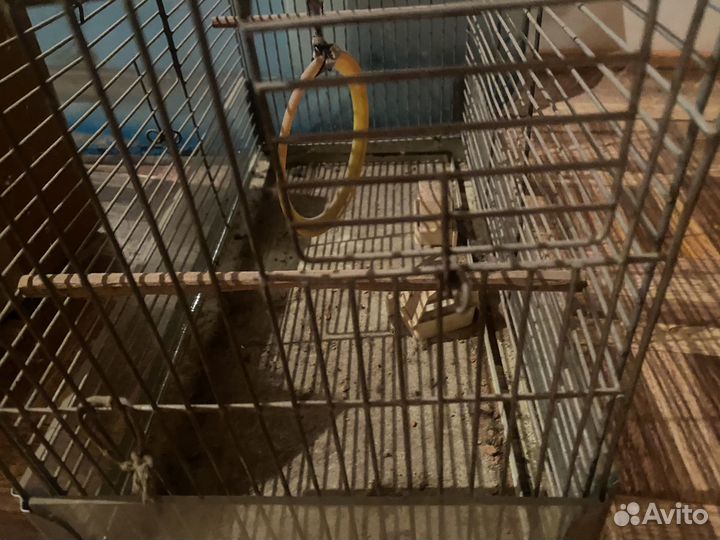 Клетка для попугая