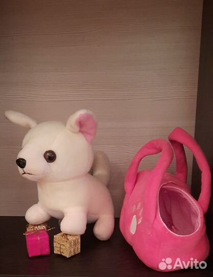 Собачка Чихуа в сумочке