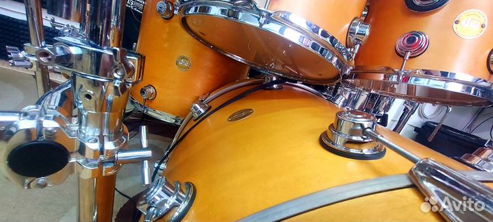 DW collectors maple