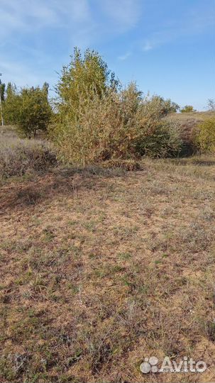 Индивидуальная Маскировка