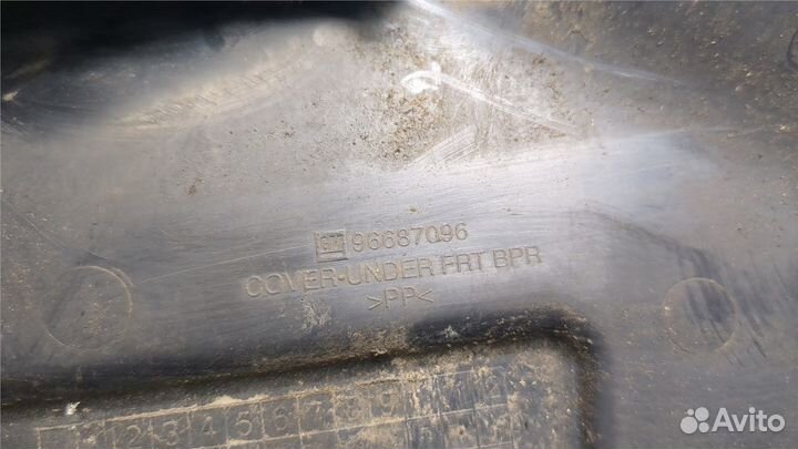 Защита моторного отсека Chevrolet Spark 2009, 2010