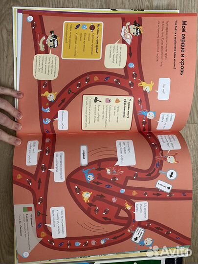 Книга Мое тело