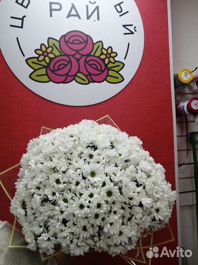 Букеты из хризантемы (белая и цветная)