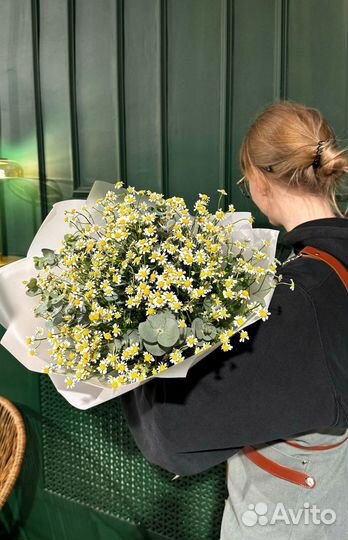 Корзина из ромашек Ромашки Полевые Танацетум