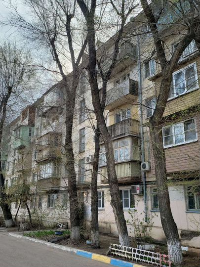 3-к. квартира, 56,9 м², 2/5 эт.