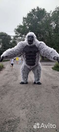 Поздравление в Кургане. Орангутанг на праздник