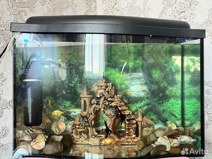 Аквариум для рыб