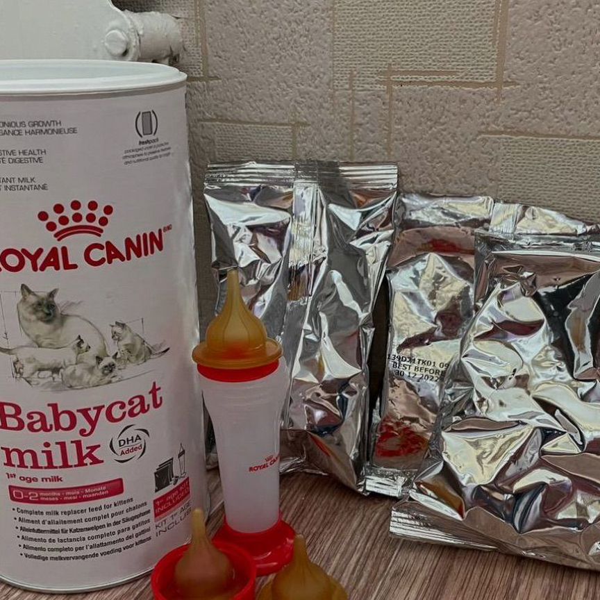 Заменитель кошачьего молока Royal Canin