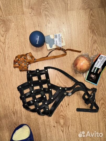 Ошейник, намордник для собак