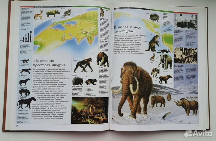 Детская энциклопедия