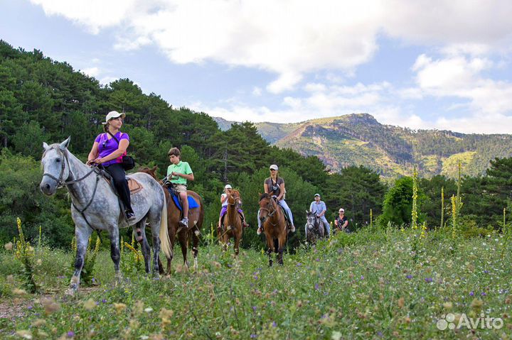 Экскурсии, конные прогулки