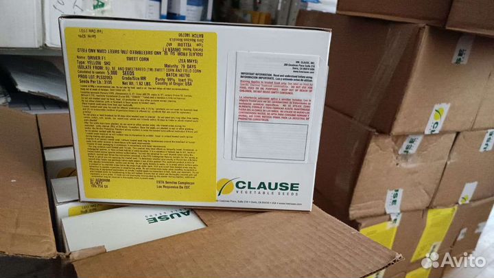 Семена кукурузы сладкой