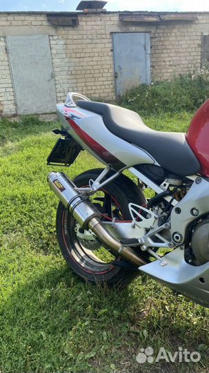 Honda cbr 600 f4i