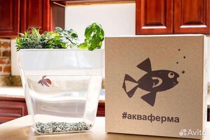Акваферма в упаковке