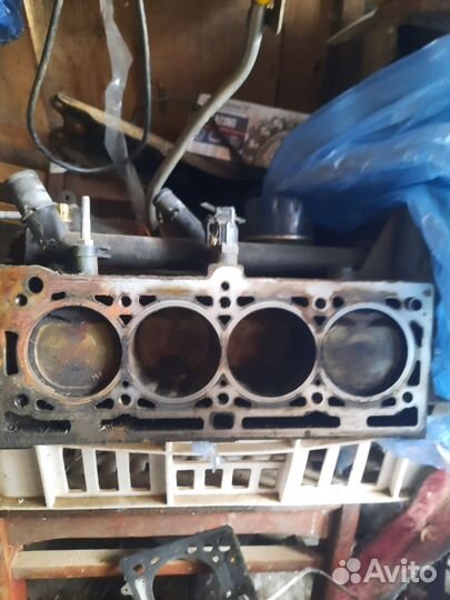 Двигатель на reno fluence