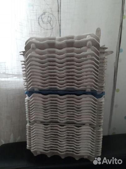 Лотки для яиц