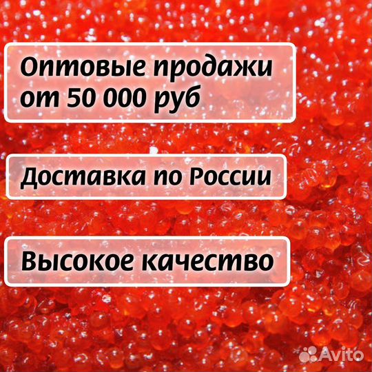 Икра красная опт