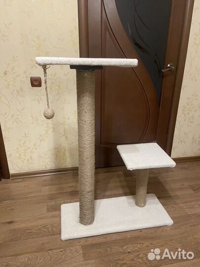 Когтеточка
