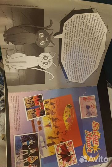 Сейлор Мун Панини Sailor Moon panini