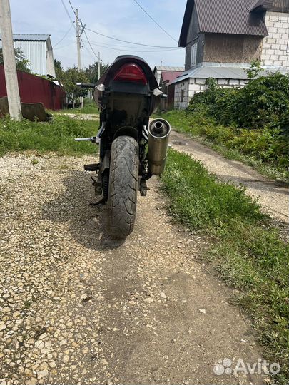 Omaks 250