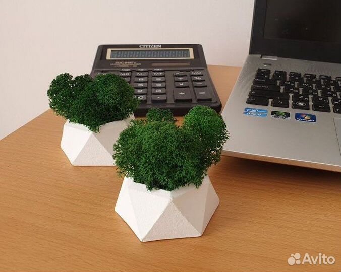 Кашпо гипсовое со мхом