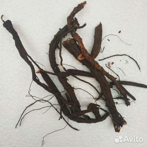 Лапчатка белая, Ятрышник, Солодка, Барбарис