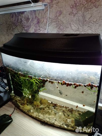 Аквариум