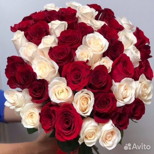 Букет 51 роза 50 см
