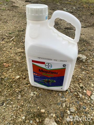 Мерлин флекс