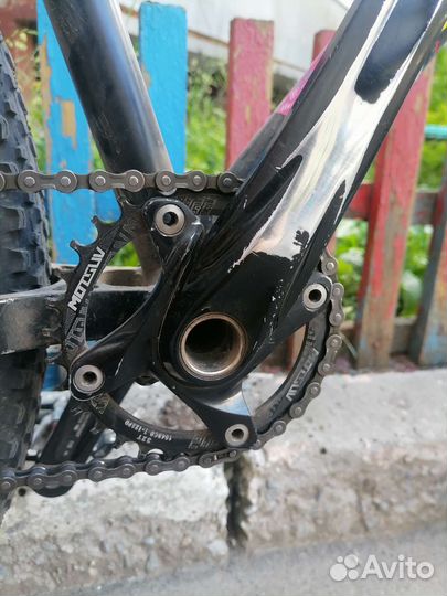 Mongoose fireball 26