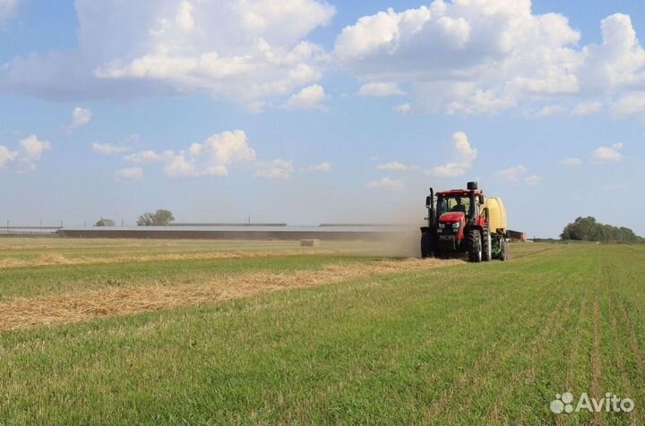 Трактор YTO ELG1754, 2023