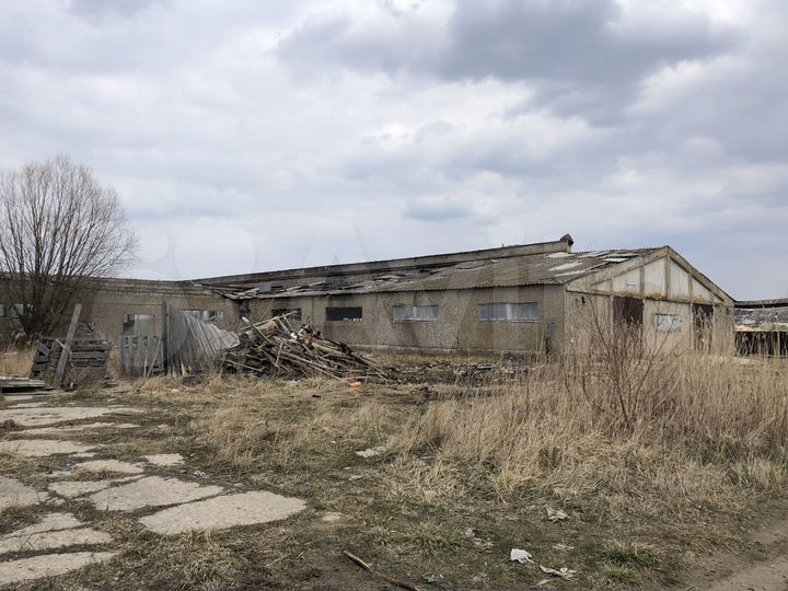 Ферма для крс 5173,3 м²
