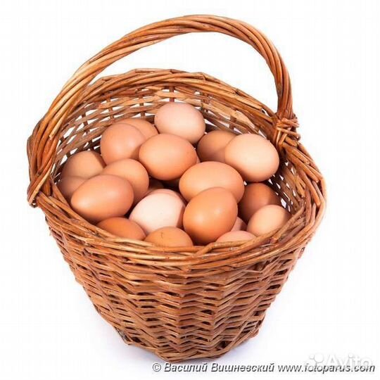 Домашние куриные яйца