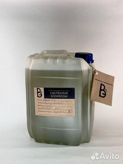 Живая хлорелла под заказ