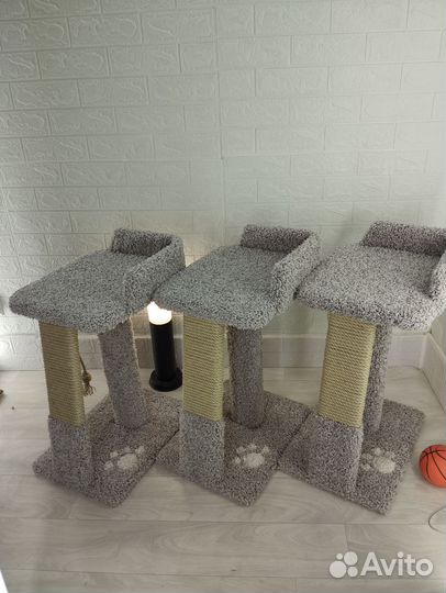 Когтеточка